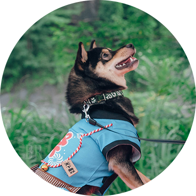 公式アンバサダー　ラムくん