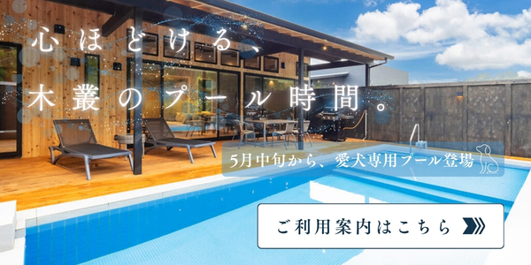 プール利用のご案内